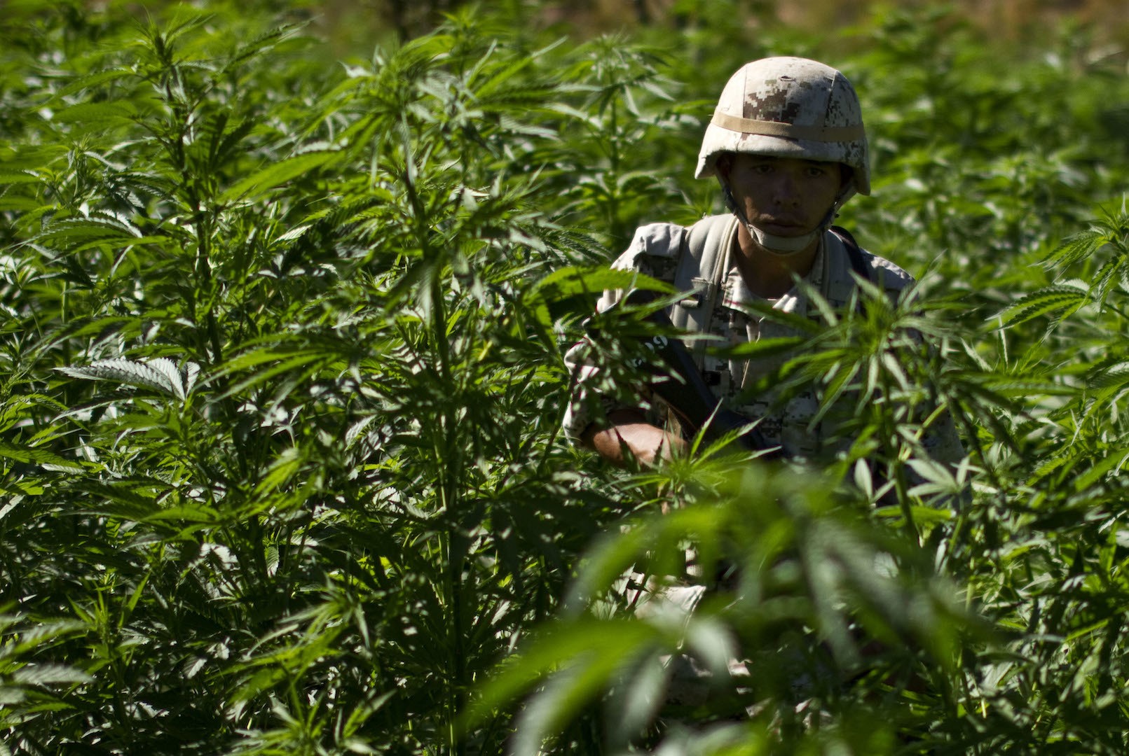 Mexico Will Never Win Its War on Drugs — But It's Going to Keep Fighting Anyway ...